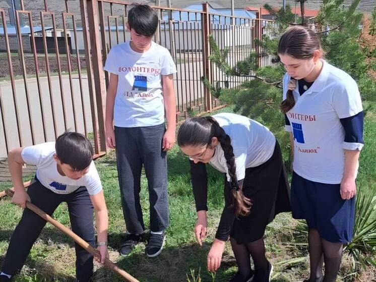 В Карачаево-Черкесии высадят более 12 тысяч саженцев деревьев в память о Великой Победе