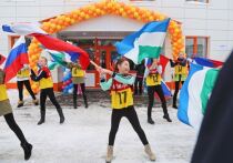 Как сообщается на сайте госзакупок, начальная цена контракта составляет 14,9 млн рублей, он будет оплачен из городского бюджета