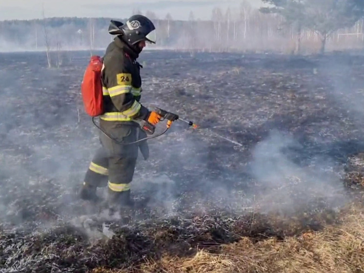 Пожарные тушат возгорание сухостоя на поле в Раменском округе