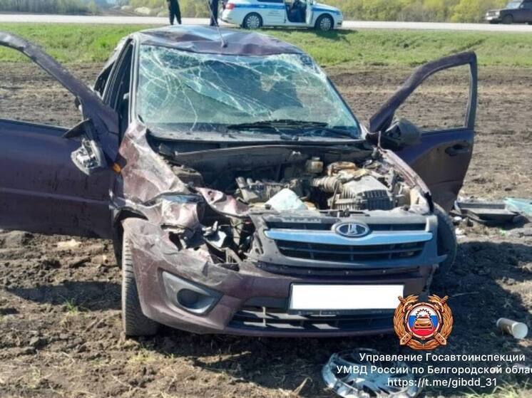 В Белгородской области автомобилистка врезалась в «КамАЗ»