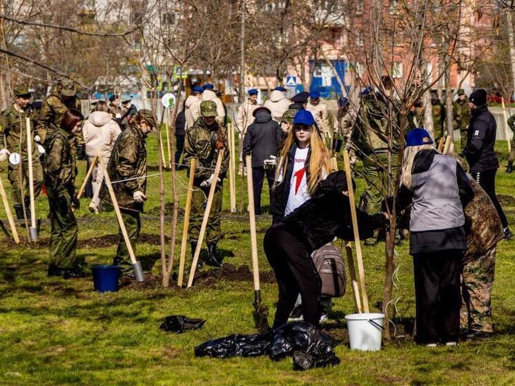 В Невинномысске высадили более 300 саженцев деревьев к 80-летию Победы