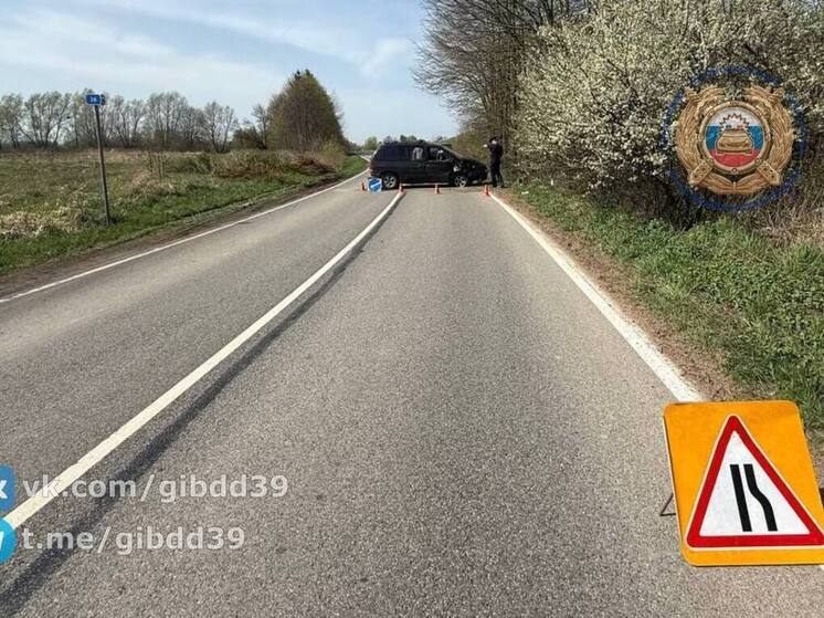 В Полесске водитель не справилась с управлением и въехала в дерево