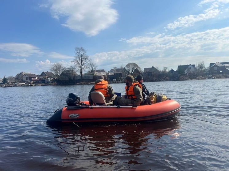 Водолазы едут на Волгу в Кинешму искать пропавшего мужчину
