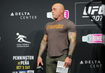 Джо Роган признался, что хотел бы возглавить UFC и ввести новые правила.