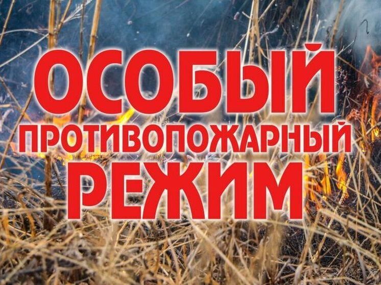 Особый противопожарный режим ввели в Башкортостане