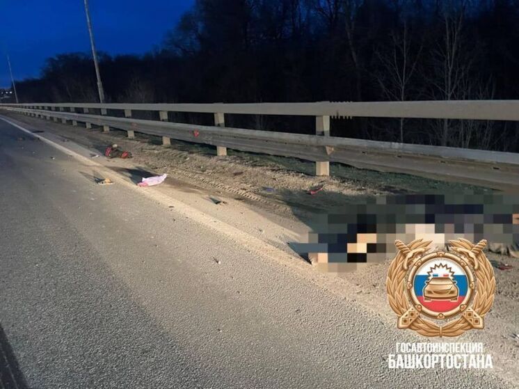 На трассе в Башкирии погиб пешеход
