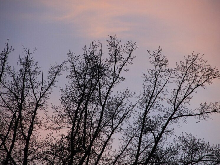 В Хакасии 19 апреля объявили штормовое предупреждение из-за ветра