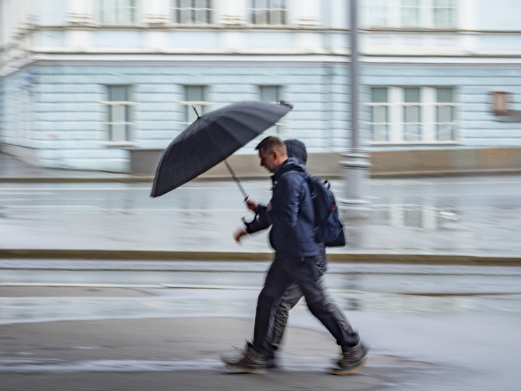 Порывы ветра в столице могут составить до 14 м/с