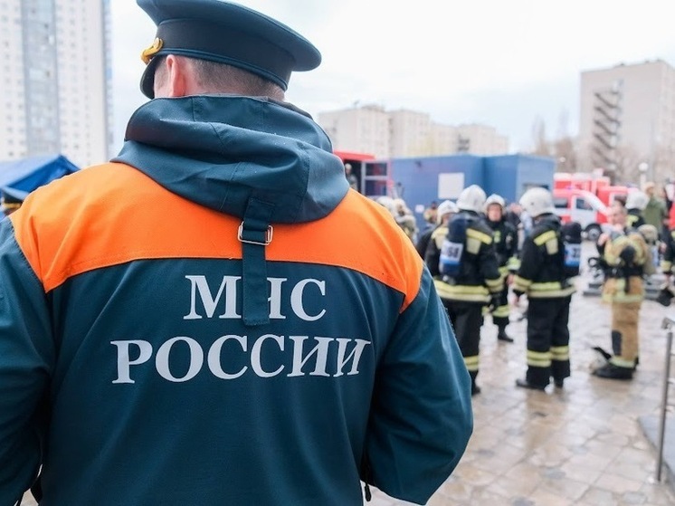 В Волгоградской области проходит акция «Остановим огонь вместе»