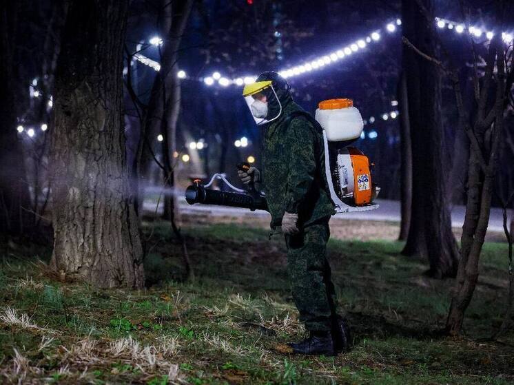 Парки, скверы и кладбища Владивостока обработают от клещей