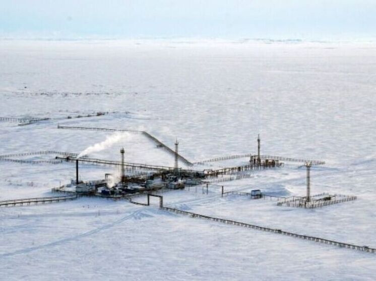 Проект реконструкции месторождения газа на Чукотке доработают по поручению полпреда