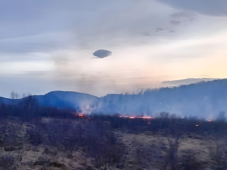 Пожар в Хакасии уничтожил лесной участок для охотничьего хозяйства