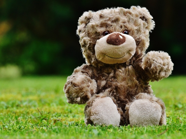 В Хабаровске Сергей Кравчук запустил акцию поддержки детей с онкологией «Подарок с любовью»