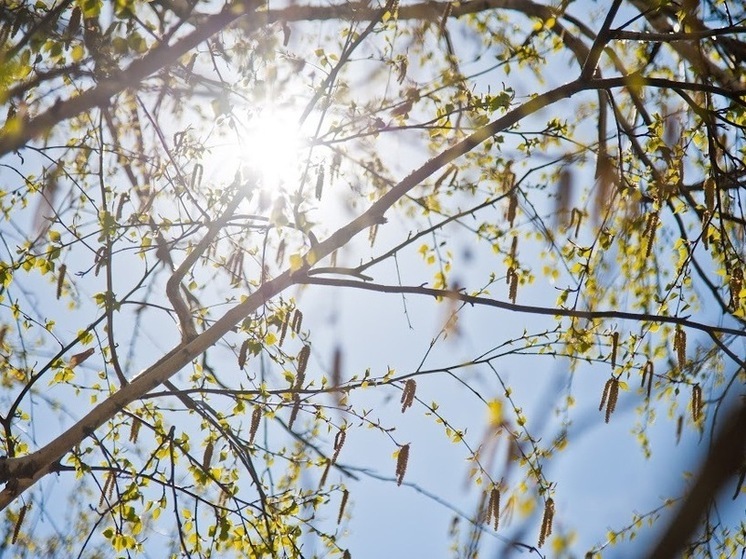 Волгоградские синоптики на 19 апреля прогнозируют ясную и жаркую погоду