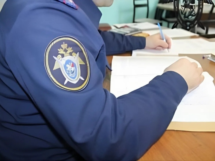 Глава СК РФ поручил возбудить уголовное дело из-за нападения собак на мужчину с ребенком