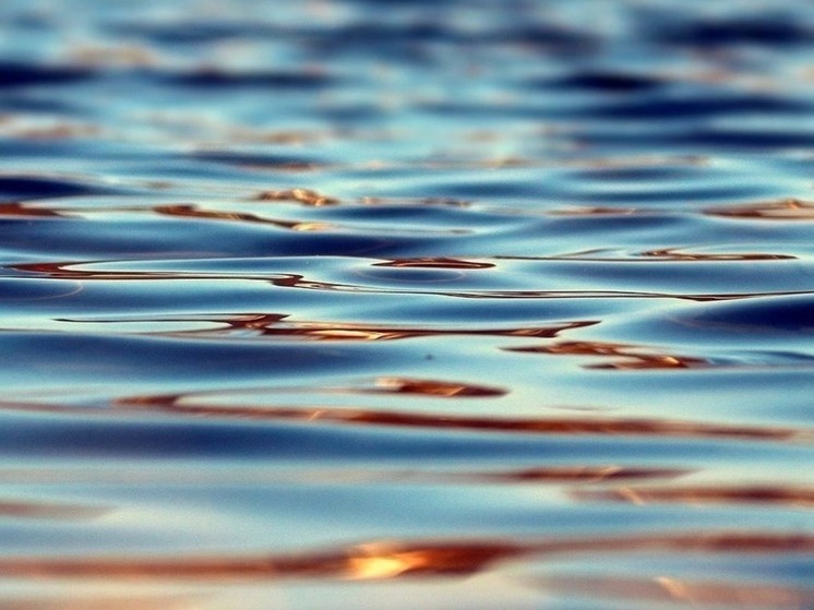 Росводресурсы: низкий уровень воды в Волге и притоках связан с малоснежной зимой