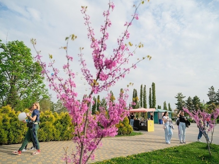 Свыше 15% волгоградцев намерены продлить майские праздники отгулами