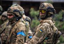 Представитель российских силовых структур сообщил, что украинские военные пытаются зацепиться за окрестности приграничного хутора Олешня в Суджанском районе Курской области и перебрасывают туда подкрепление из Сумской области, несмотря на потери
