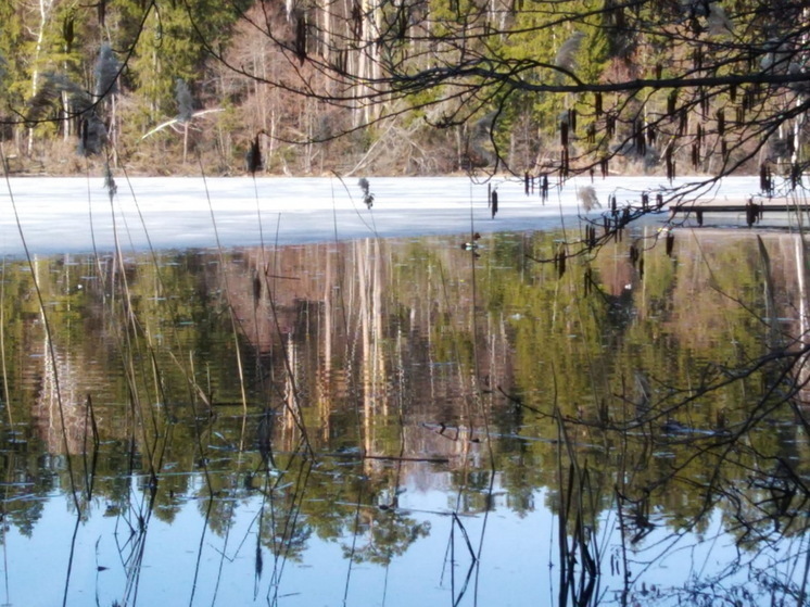 Как провести, не нарушив народных запретов: Акулинин день отмечают 20 апреля