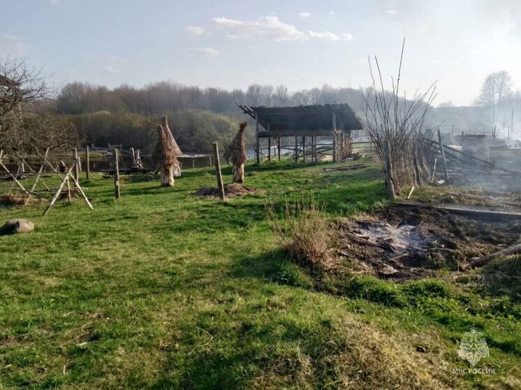 Причиной пожара на кинодеревне в Новоржевском районе может быть поджог