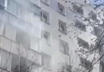 Сотрудники МЧС России спасли семь человек при пожаре в многоквартирном доме в Москве, заявило столичное управление ведомства