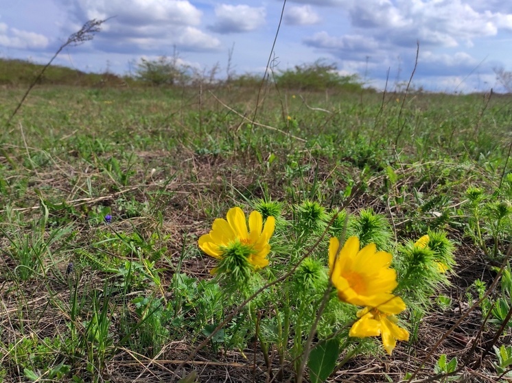 Отопительный период в Лермонтове завершится 21 апреля