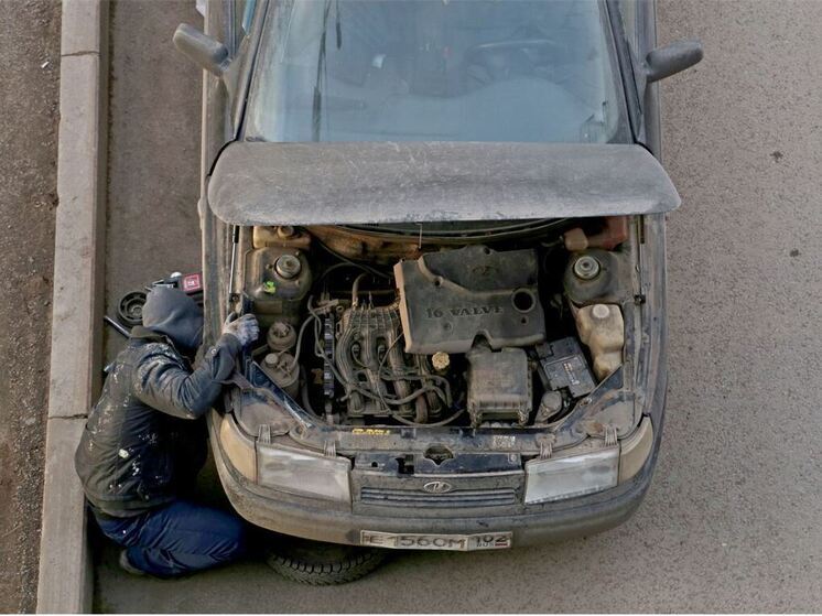 Бастрыкину доложат о проверке незаконной деятельности мигрантов