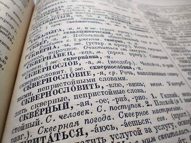 Филолог объяснила, почему в Новосибирске дети и взрослые используют маты