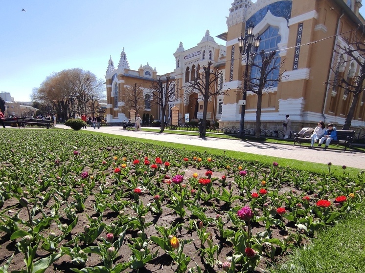 Кубань и Кавказские Минеральные Воды возглавляют список популярных направлений внутреннего туризма в 2024 году