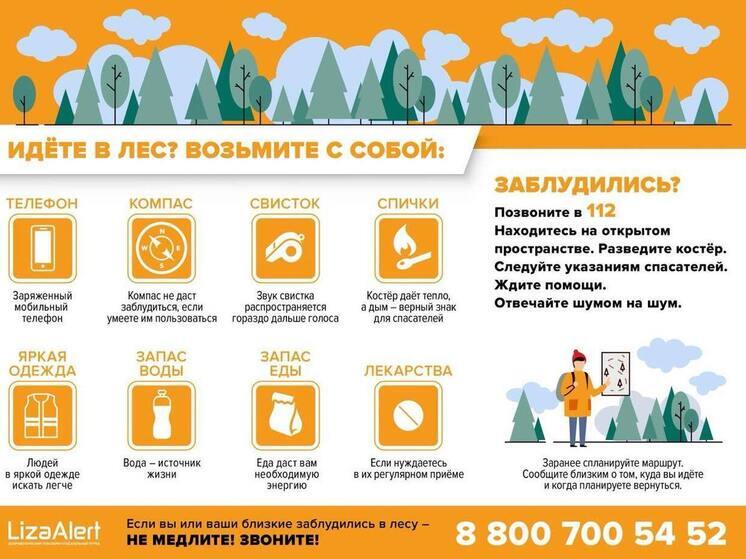 Поисково-спасательный отряд ЛизаАлерт: лес не прощает ошибок