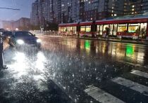 В Петербурге ожидаются ливни, грозы и порывистый ветер 20 апреля. Об этом сообщили в пресс-службе МЧС по городу.