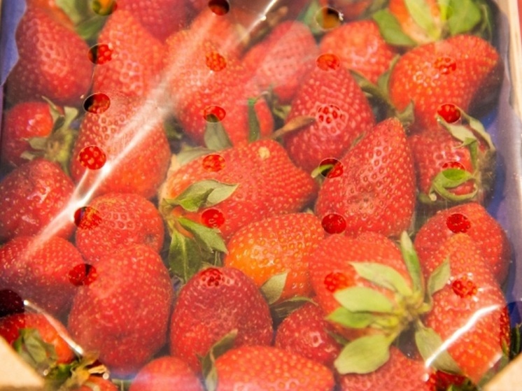 Дачники в Волгоградской области активно покупают рассаду клубники и перцев