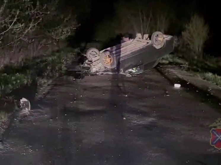 В Волгоградской области в опрокинувшейся «Ладе» погибла женщина-водитель