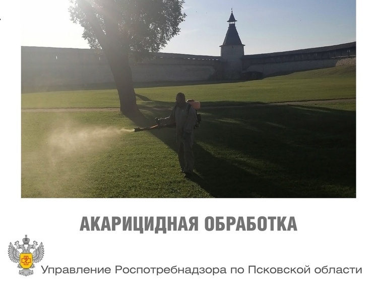 В Псковской области начались противоклещевые обработки