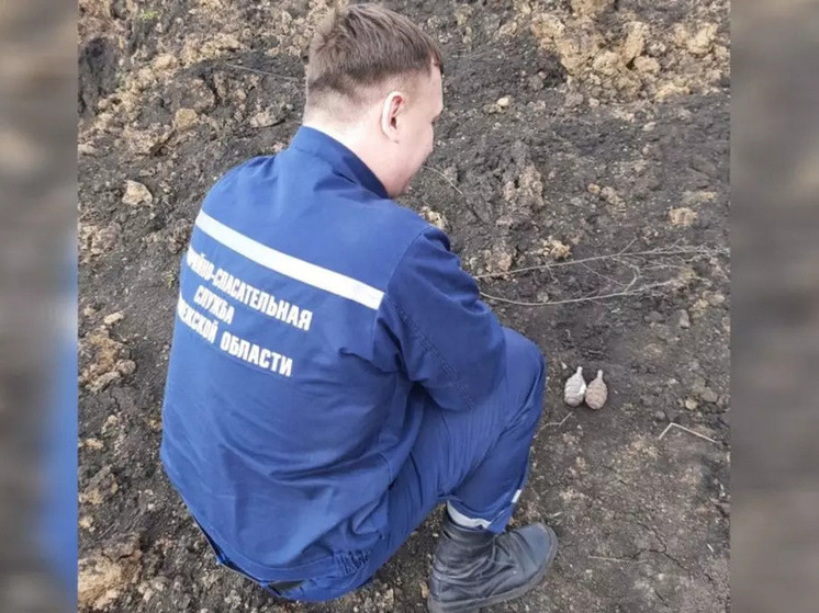 Под Воронежем уничтожили два снаряда времён ВОВ