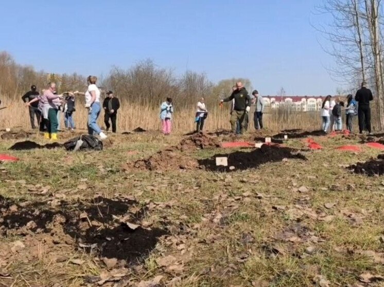 Новгородцы посадили дубы в парке «Красное поле» в память о жертвах фашистов в годы ВОВ
