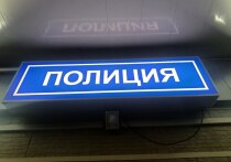 В Петербурге на улице Большая Московская, 5 пришел неизвестный мужчина в магазин и начал угрожать охраннику, параллельно он похитил товар. Об этом «МК в Питере» сообщил источник в правоохранительных органах.