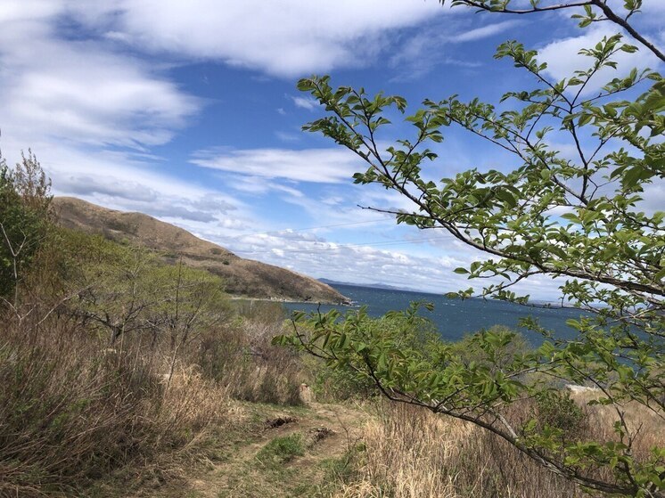 Стало известно, какая погода будет в Приморье на Пасху