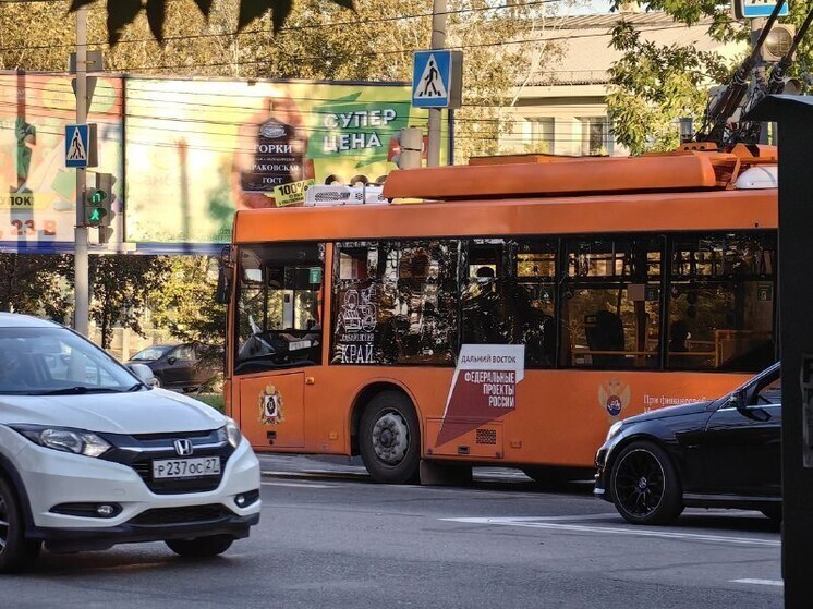 В Хабаровском крае 19 апреля трое человек травмировались в ДТП