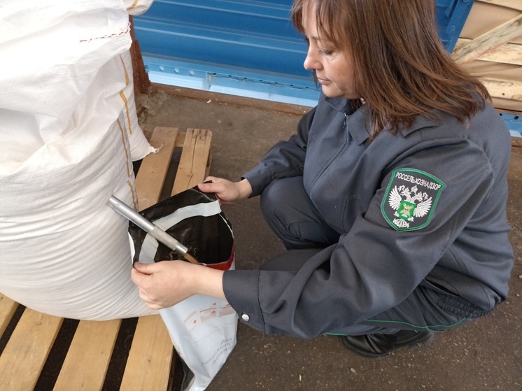 В Чувашию поступила крупная партия солода из Беларуси — нарушений не выявлено