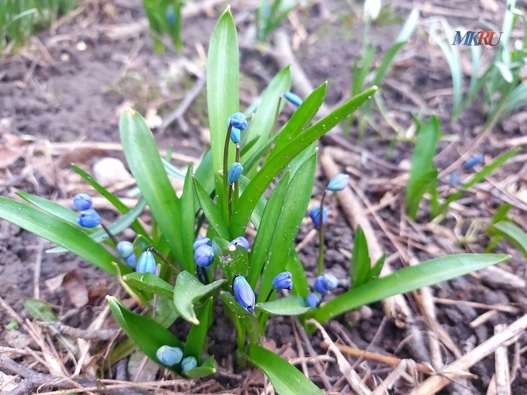 Калужан ждёт погожий день