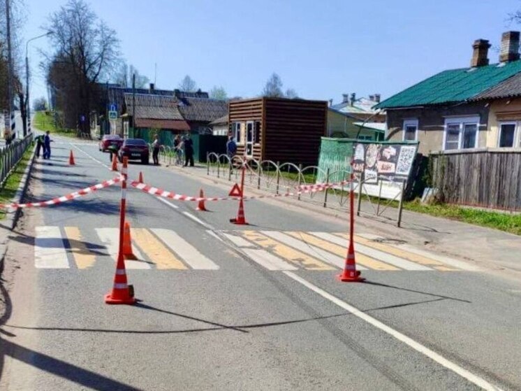 В Сольцах водитель насмерть сбил 87-летнюю пенсионерку на пешеходном переходе