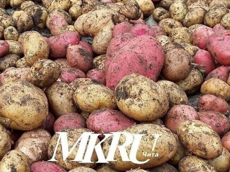 Картофель, соль и говядина сильнее всего подорожали в Забайкалье