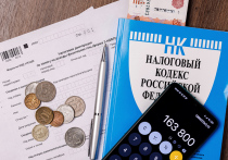 Гражданам России остается ровно десять дней для того, чтобы успеть вовремя отчитаться перед налоговой службой о своих доходах за 2024 год