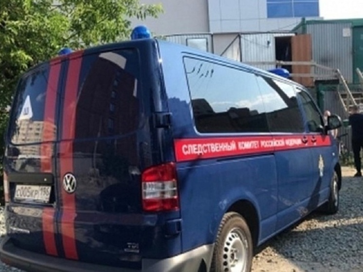 СК проверит сведения о преследовании мужчиной детей в Екатеринбурге