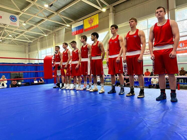 Три медали завоевали боксеры Чувашии на турнире памяти Олега Кортунова