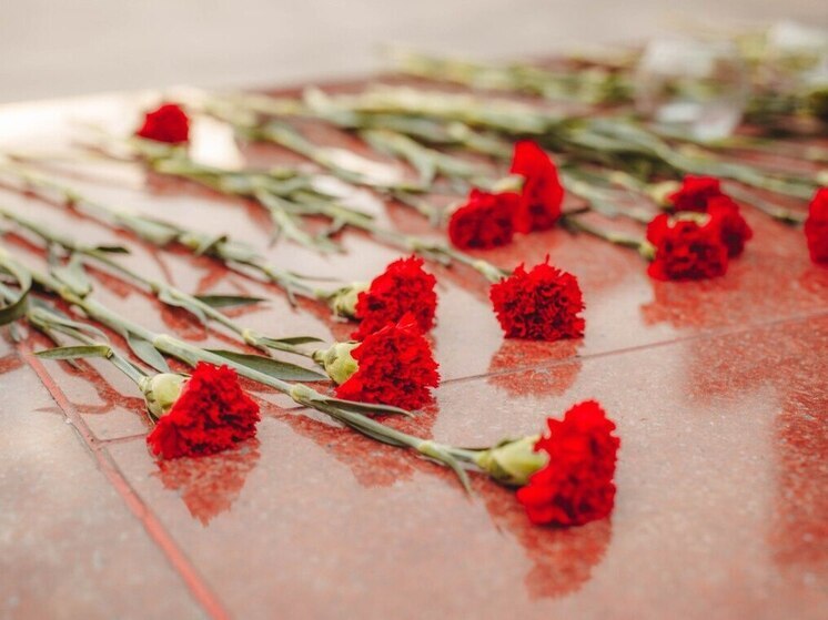 Молодежь Владивостока присоединится к празднованию 80-летия Победы