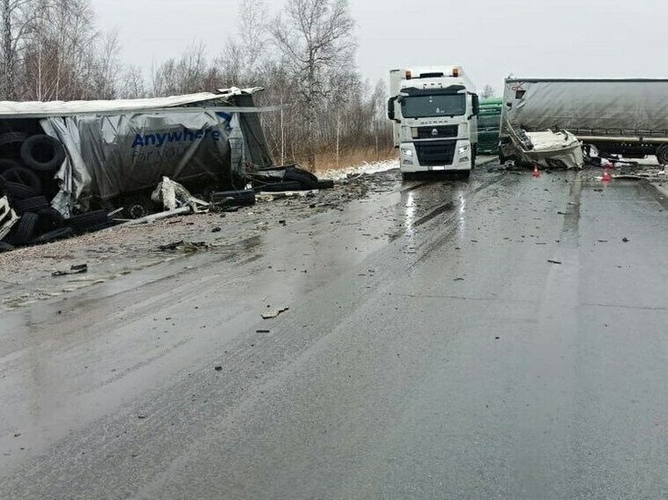 В Новосибирской области при столкновении грузовиков погиб водитель