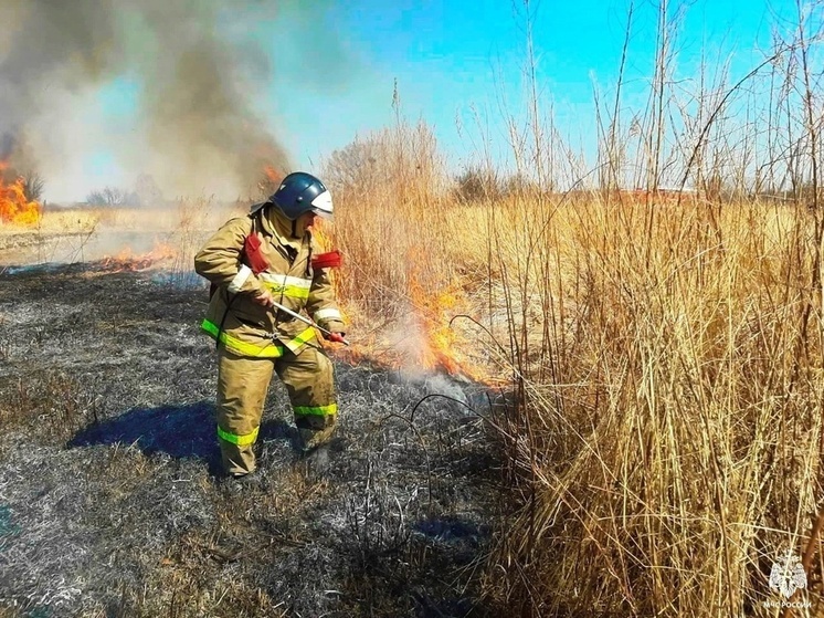 31 раз за сутки выезжали экипажи МЧС на травяные пожары