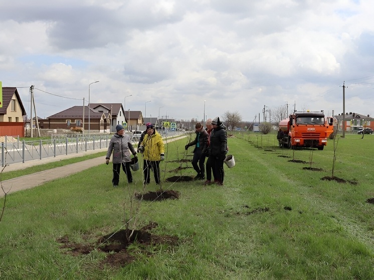 Парк Памяти в честь усманцев заложили в Липецкой области
